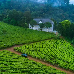 Tea Harvester Курортный комплекс